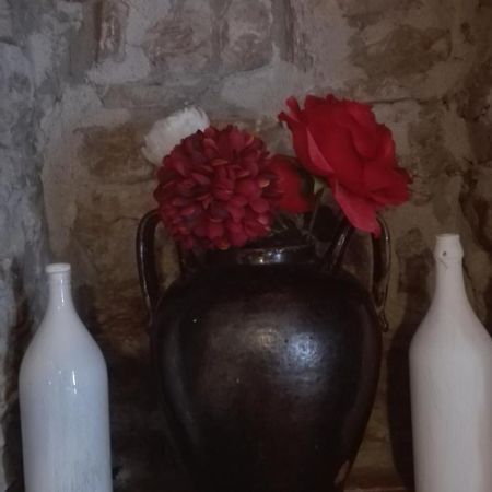 ピエトレルチーナ Agriturismo La Vecchia Cascina Di Paolo & Belindaヴィラ エクステリア 写真